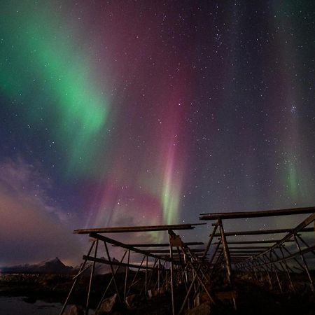Fish Factory -The Real Lofoten Experience Ballstad Bagian luar foto