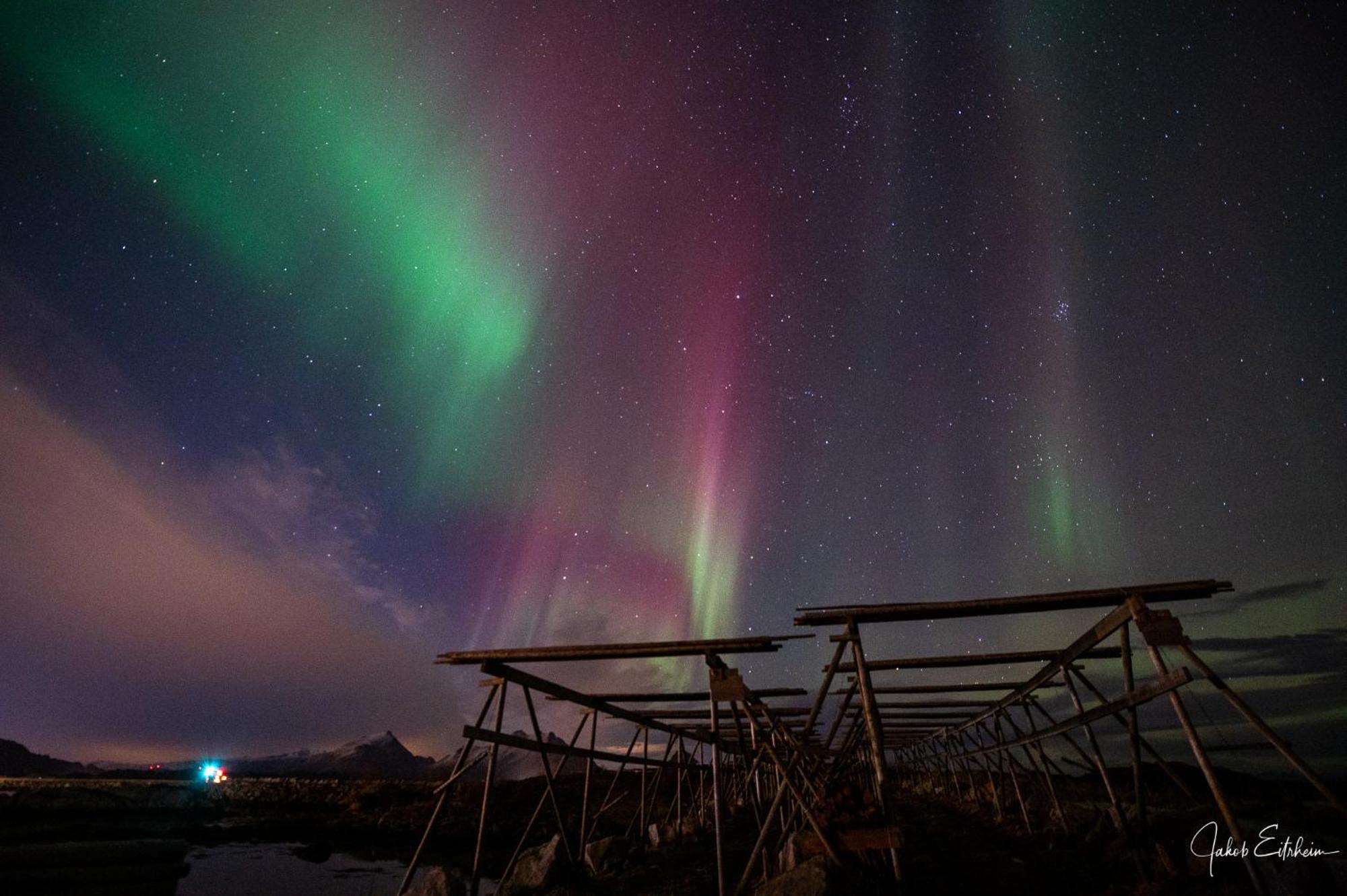 Fish Factory -The Real Lofoten Experience Ballstad Bagian luar foto